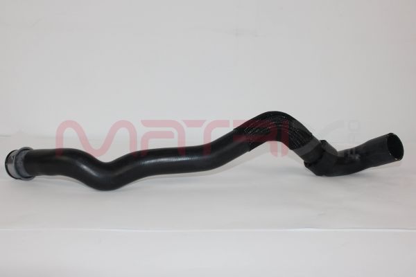 Radiator Hose MX02501291
